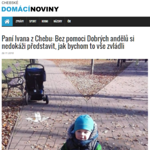 Chebské domácí noviny